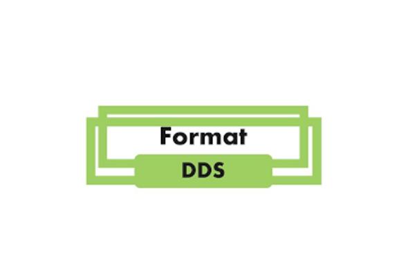 Format DDS - Partenaire